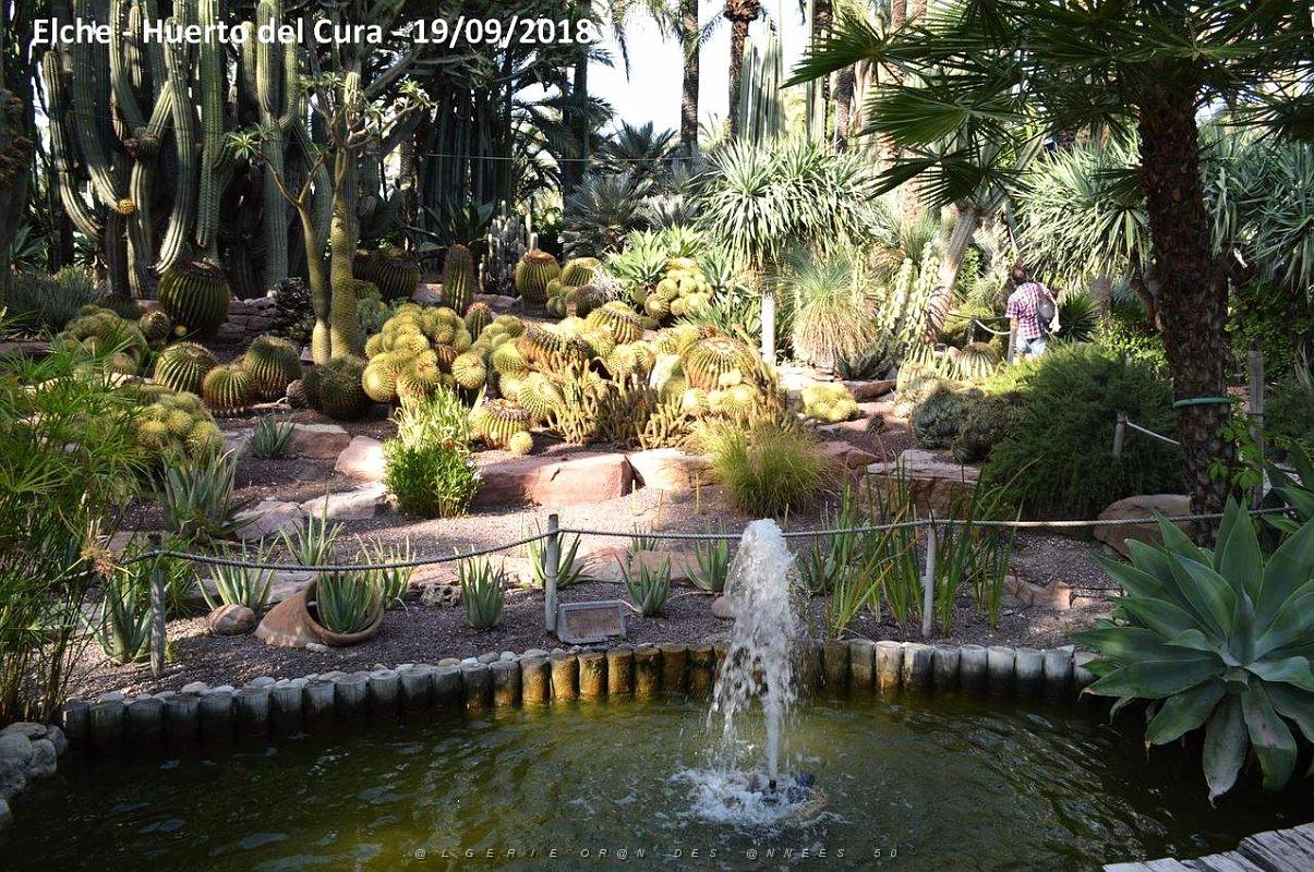 19 ELCHE HUERTO DEL CURA (106).JPG